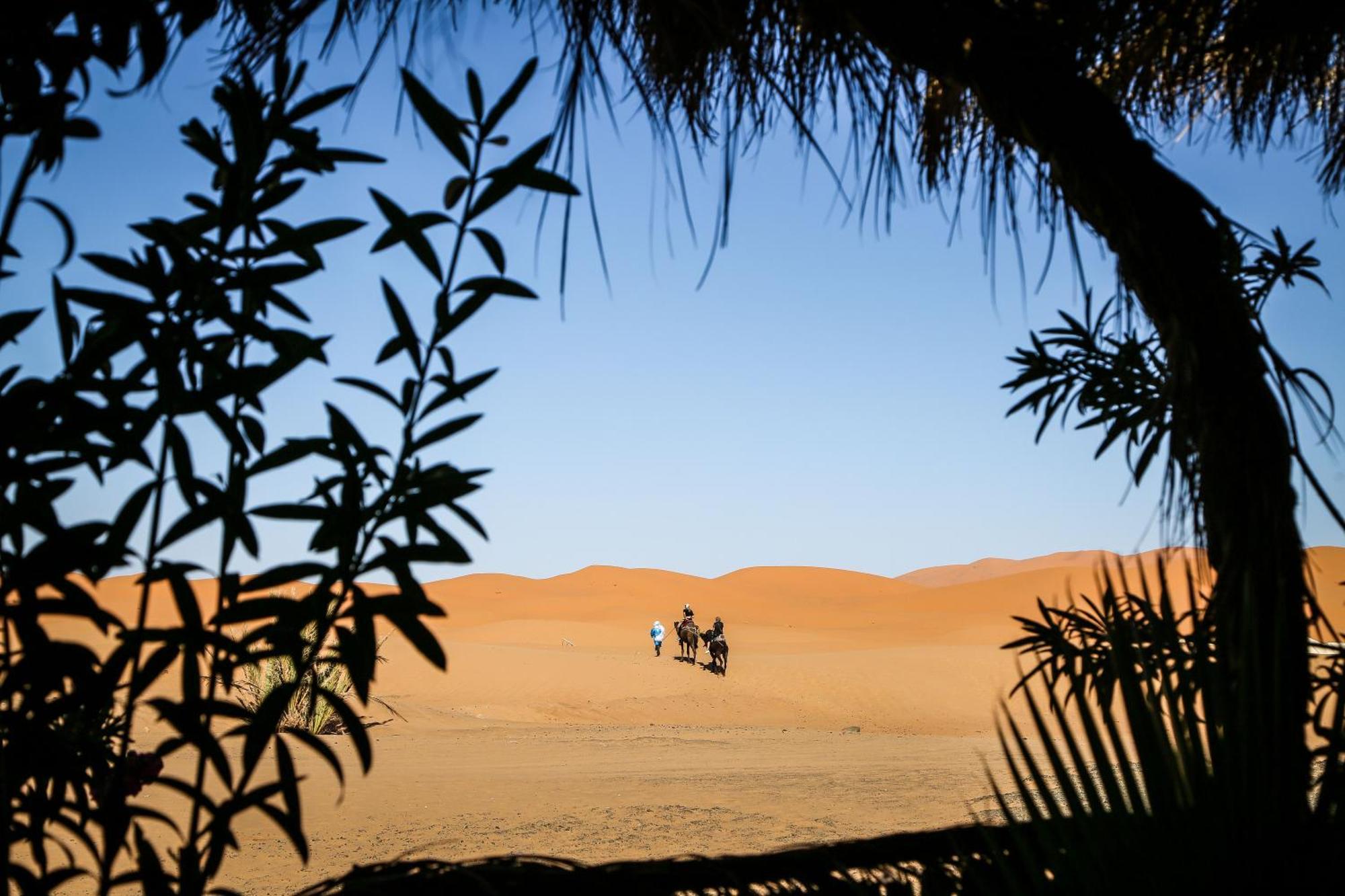 Dune House เมอร์ซูกา ภายนอก รูปภาพ