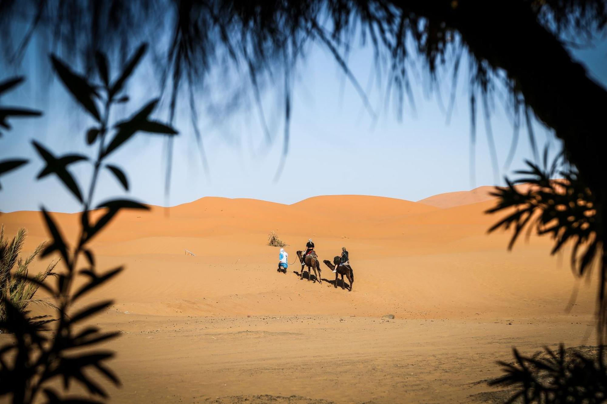 Dune House เมอร์ซูกา ภายนอก รูปภาพ